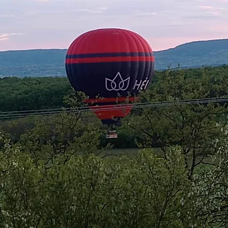 Sziklakert Kisvendeghaz * Zalahalap
